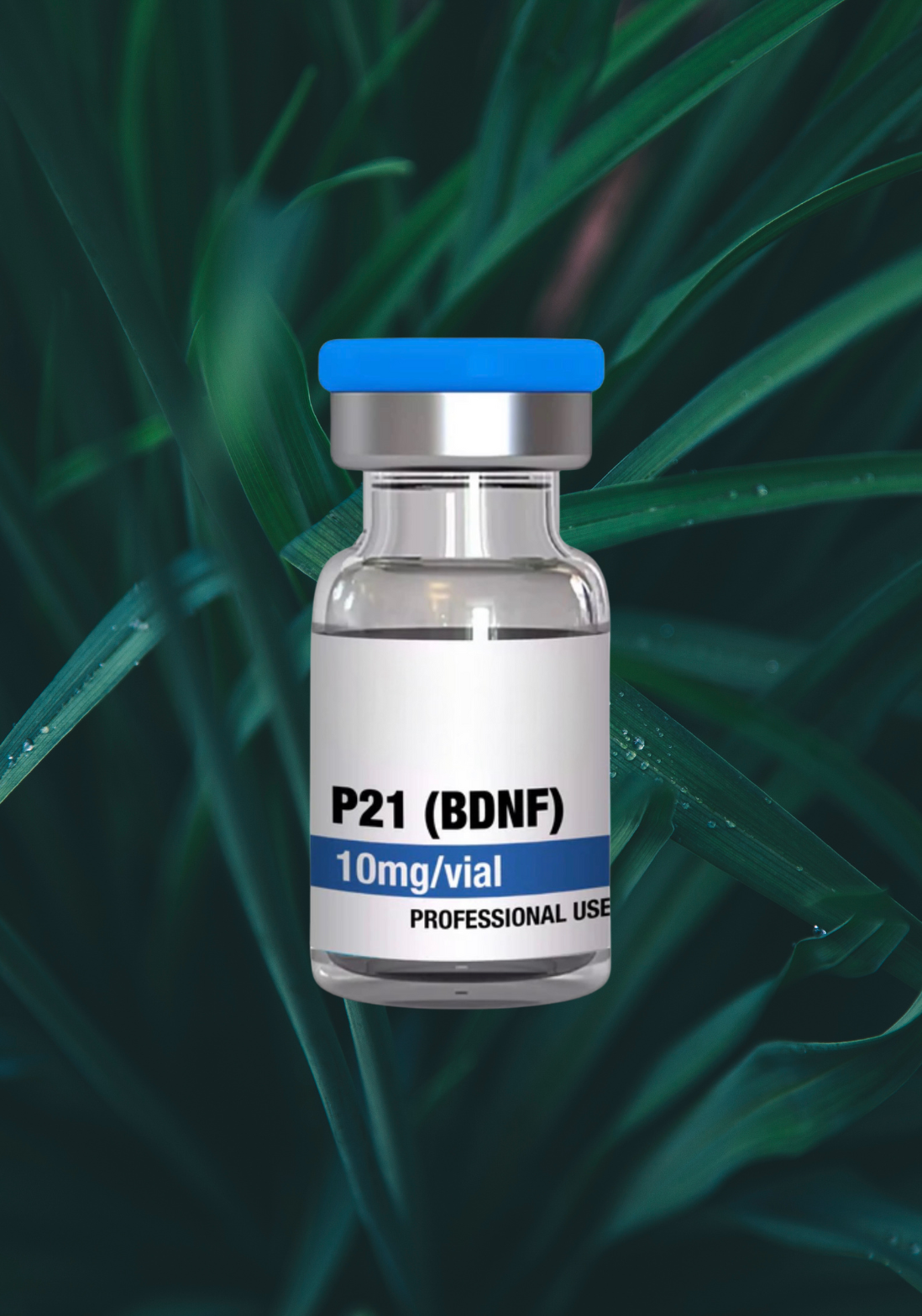 BDNF (P21) peptide injection