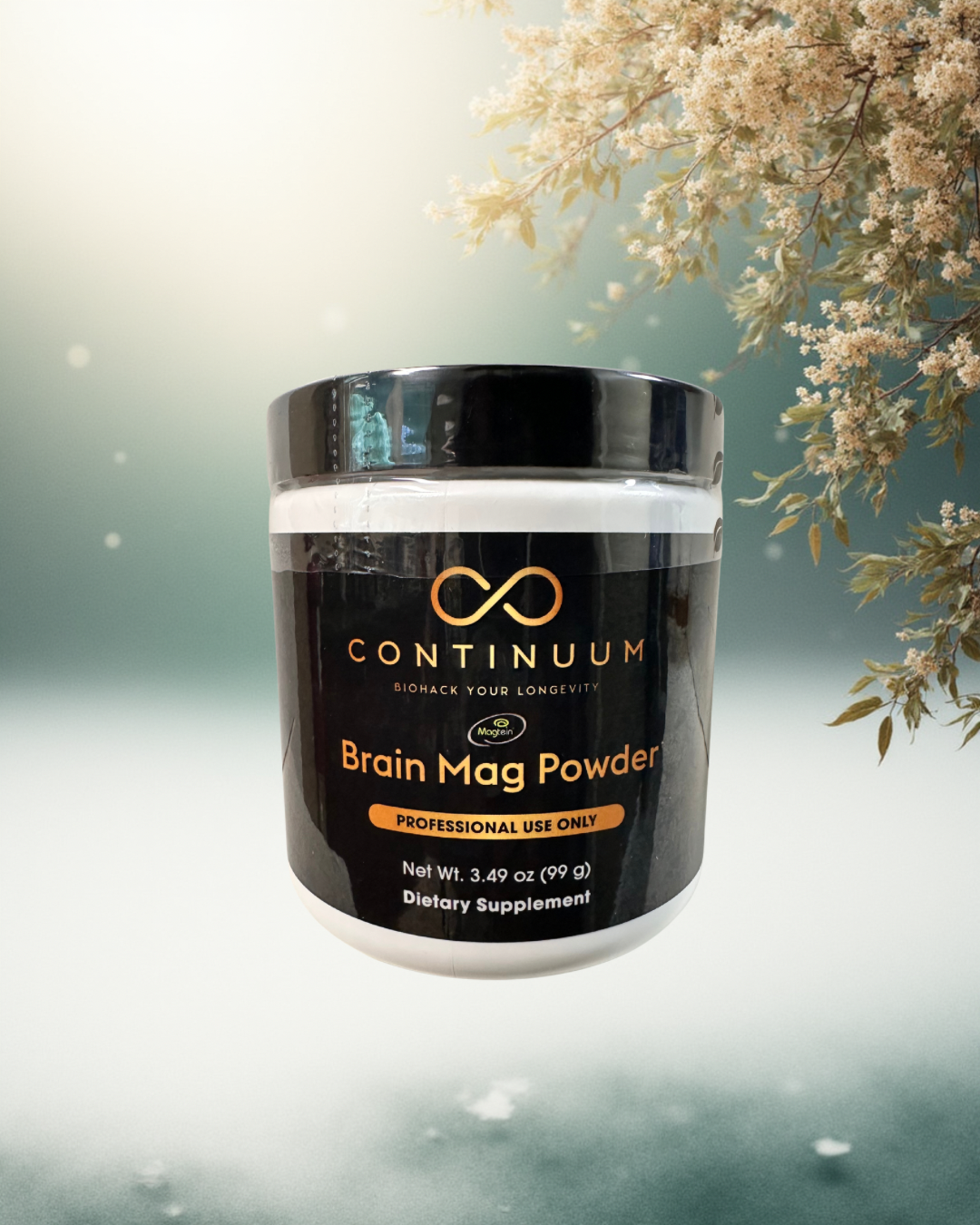 Brain Mag powder