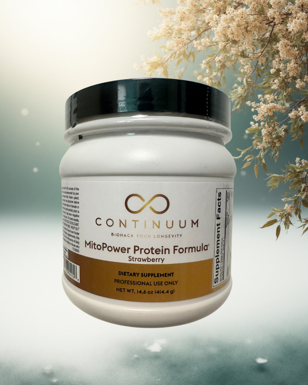 MitoPower Protein Formula (strawberry)