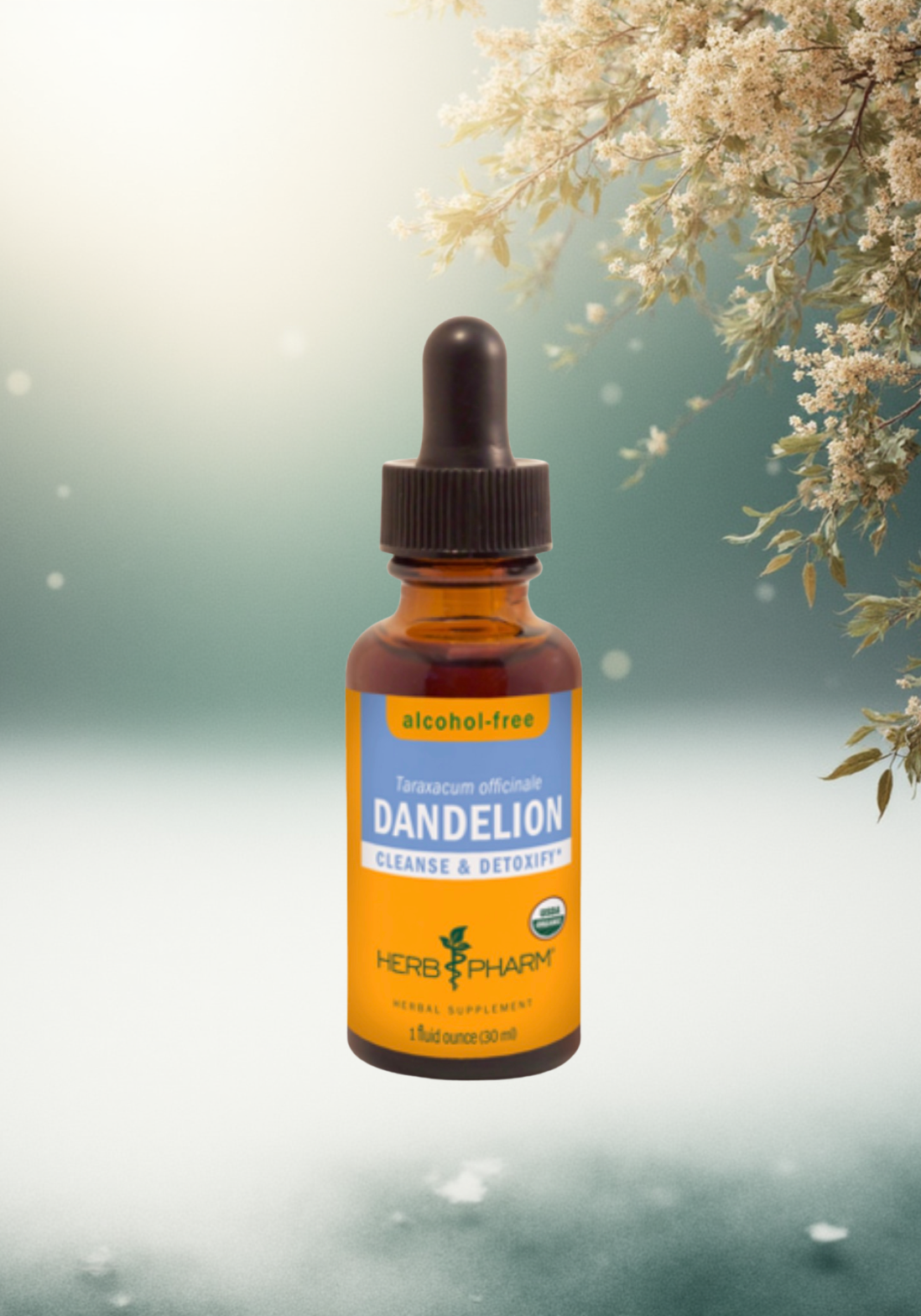 Dandelion Extract